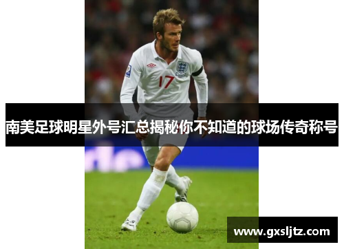 南美足球明星外号汇总揭秘你不知道的球场传奇称号