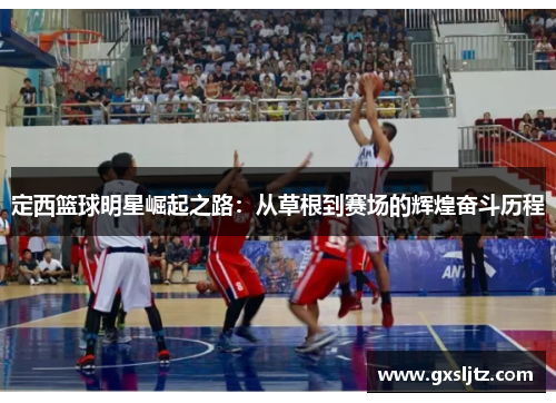 定西篮球明星崛起之路：从草根到赛场的辉煌奋斗历程