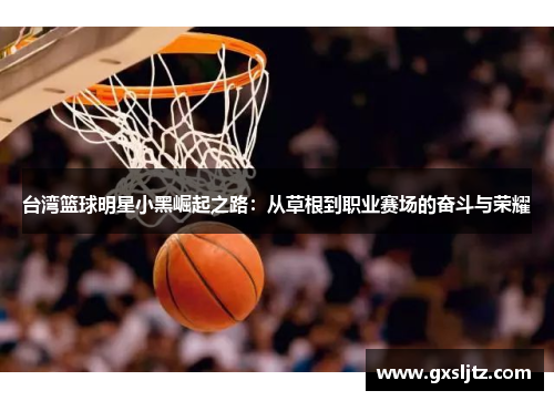 台湾篮球明星小黑崛起之路：从草根到职业赛场的奋斗与荣耀
